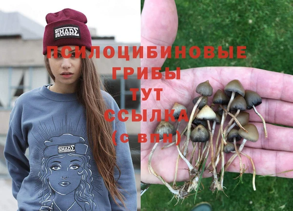 кокс Краснослободск