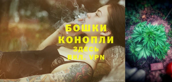 не бодяженный Ладушкин
